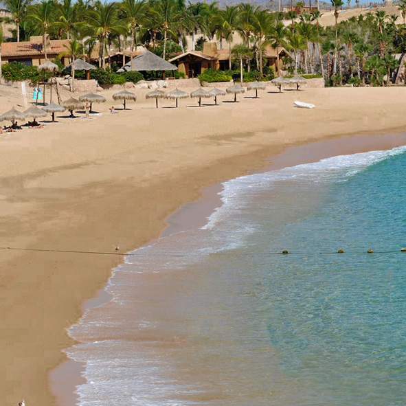 Visita la Bahia de Chileno